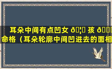 耳朵中间有点凹女 🦋 孩 🐝 命格（耳朵轮廓中间凹进去的面相）